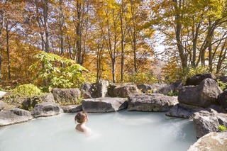 Genieten van een Japanse openlucht onsen