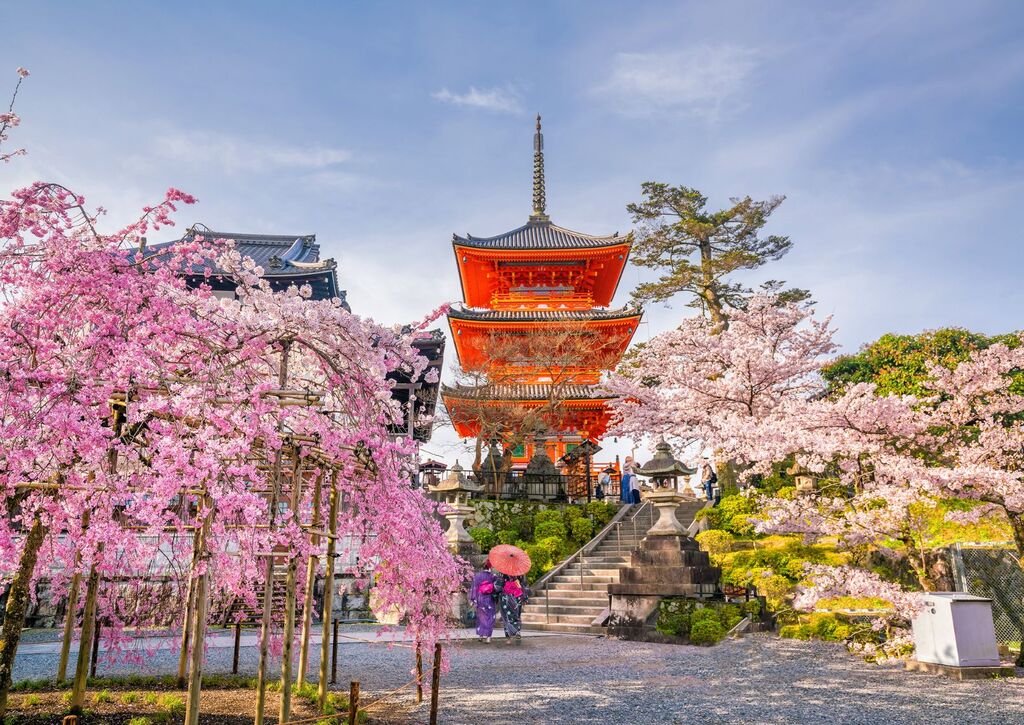 Kiyomizu-dera Tempel en kersenbloesem seizoen (Sakura) lente tijd in Kyoto, Japan