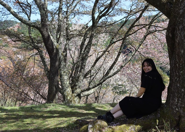 Berg Yoshino tijdens het sakura-seizoen