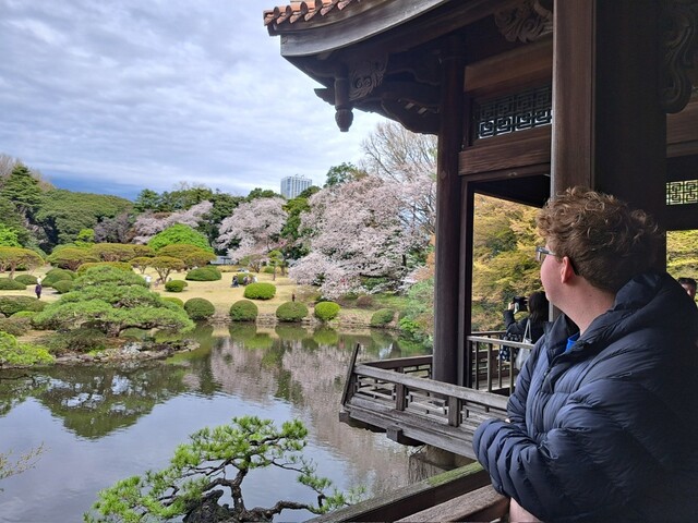 Genieten van de Shinjuku Gyoen National Garden, Tokyo