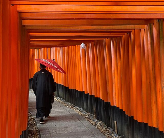 Dwalen tussen eindeloze torii-poorten bij Fushimi Inari in Kyoto
