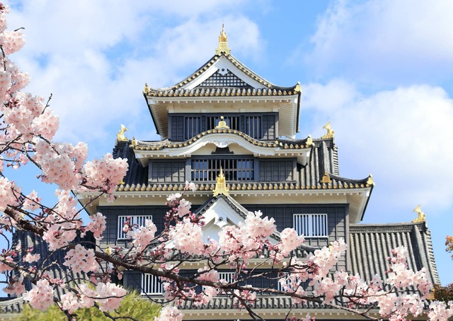 Kasteel van Osaka