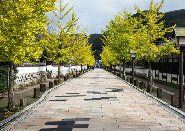 Tonomachi straat, Tsuwano