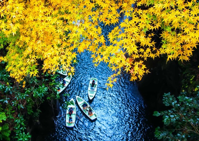 Roeien in de Takachiho-kloof