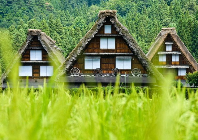 Traditionele gassho-zukuri-huizen, Shirakawa-go