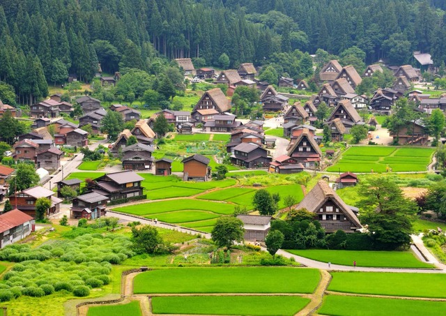 Ogimachi in de zomer