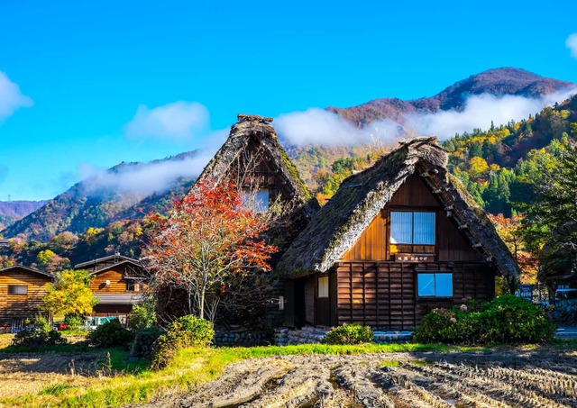 Ogimachi in de herfst