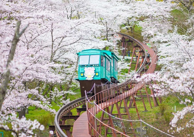 Monorail in Funaoke Castle Ruin Park, Sendai