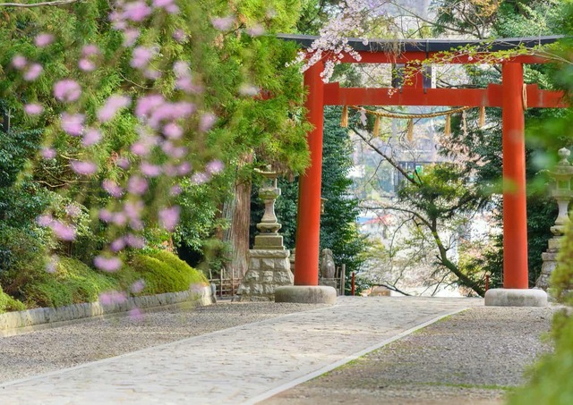 Torii poort, Osaki Hachimangu schrijn, Sendai