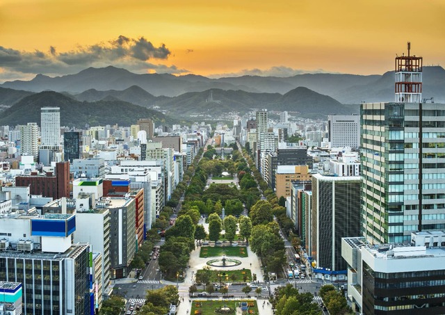 Sapporo en Odori Park van bovenaf
