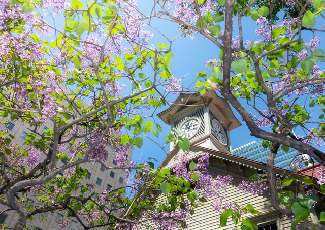 Klokkentoren van Sapporo