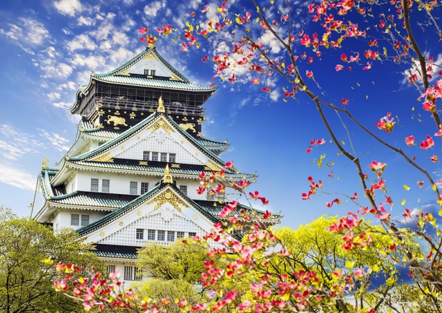 Kasteel van Osaka