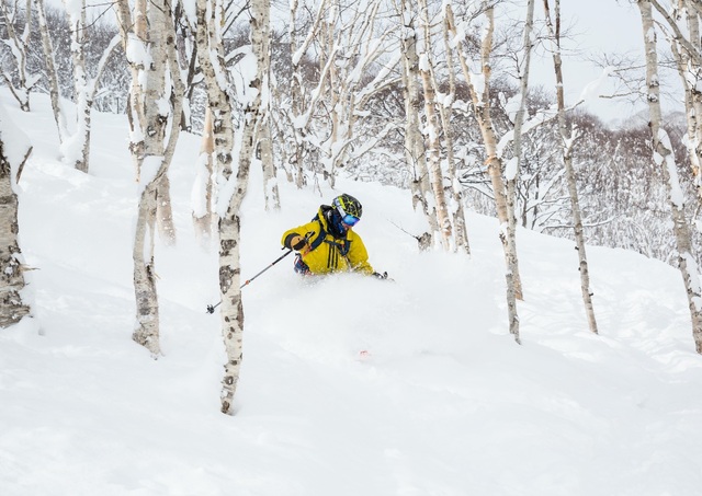 Skiën buiten de pistes in Niseko