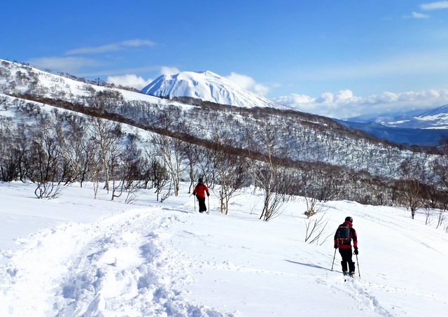 Skiën buiten de pistes in Niseko