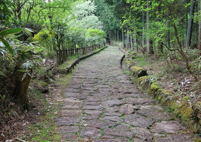 De Nakasendo Trail 