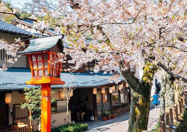 Kinosaki Onsen-dorp met kersenbloesems in de lente