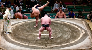 Sumotoernooi