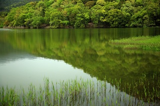 Hirosawa vijver