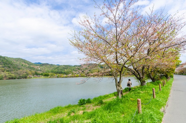 Hirosawa vijver