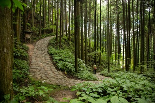 Nakasendo-route