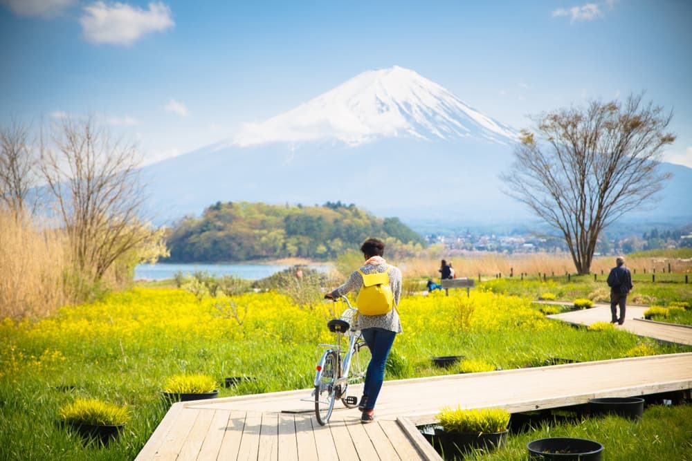 Mt. fuji met sneeuw en bloementuin langs de houten brug bij het Kawaguchiko meer in Japan