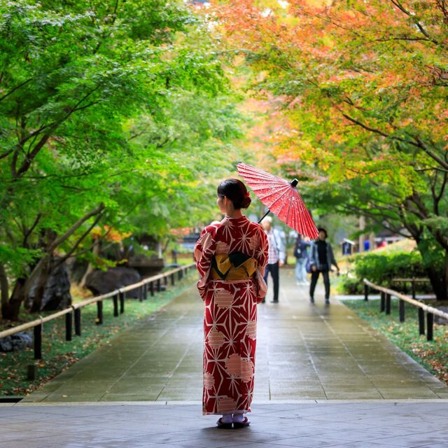 Japanse vrouw in een rode kimono met paraplu, ontspannen wandelend door een openbaar park met herfstbladeren in Japan