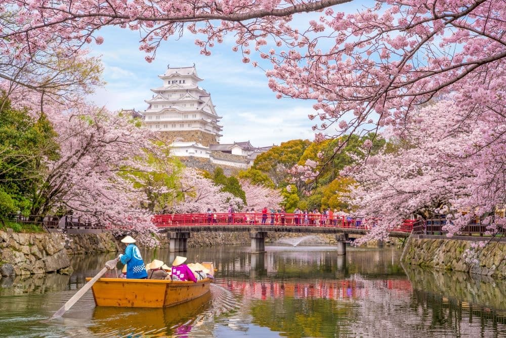 Japan Himeji kasteel , White Heron kasteel in prachtige sakura kersenbloesem seizoen