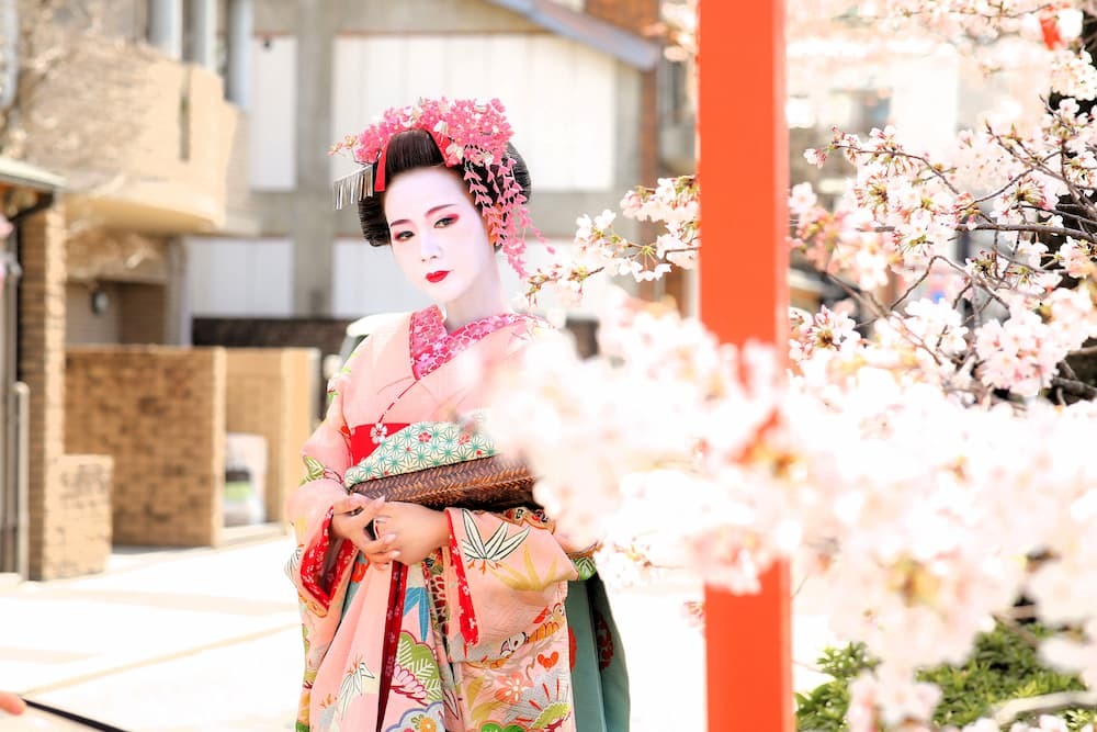 Maiko op sakuraweg met roze paraplu