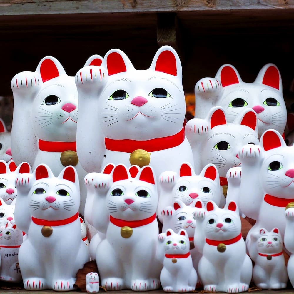 Maneki-neko gelukskatten bij Goutokuji Shrine, Tokio, Japan