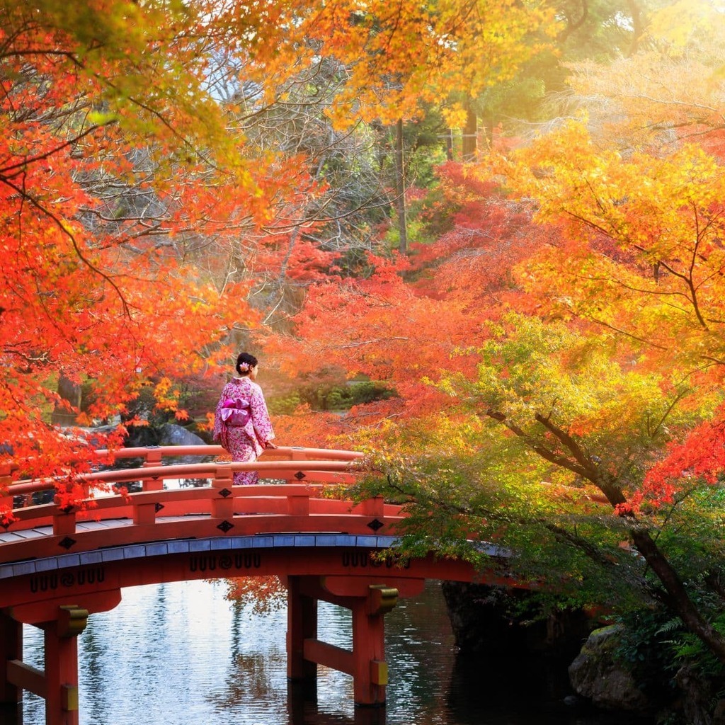 Dame die in de herfst over een brug in Japan loopt
