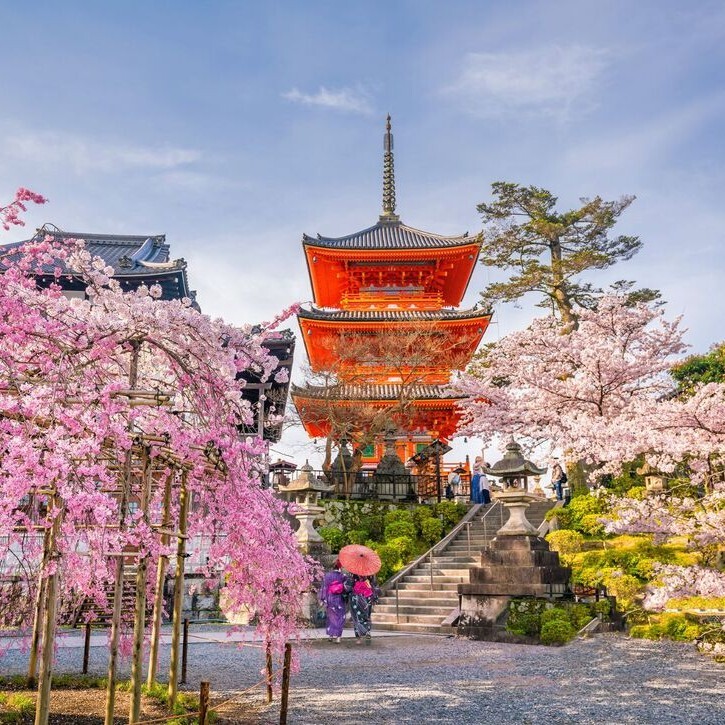 Kiyomizu-dera Tempel en kersenbloesem seizoen (Sakura) lente tijd in Kyoto, Japan