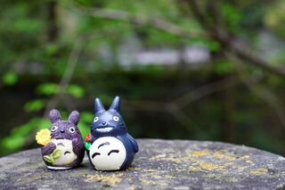 Studio Ghibli figuren