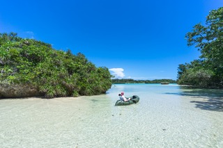 Waar mangrove de zee ontmoet – Okinawa