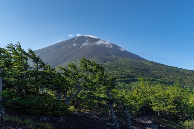 Uitzicht op Mt. Fuji vanaf het 5e station