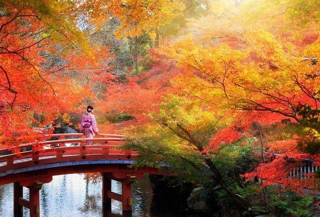 Japan in de Herfst