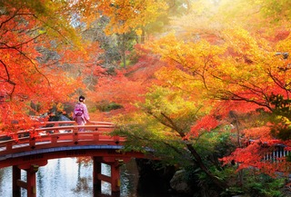 Japan in de Herfst