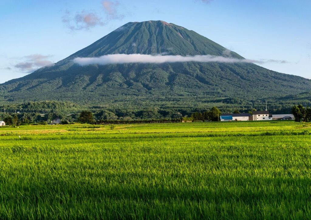 Rijstvelden aan de voet van Mount Yotei, Hokkaido