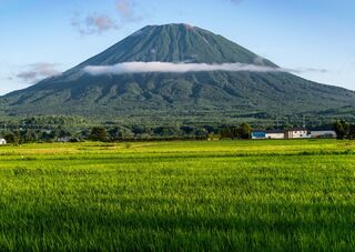 Rijstvelden aan de voet van Mount Yotei, Hokkaido