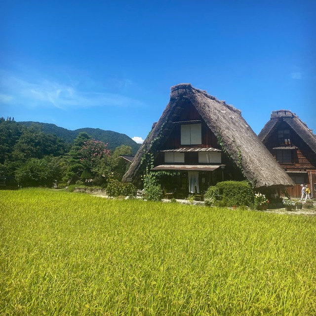 Mijn favoriete herinnering is het reizen door Shirakawa-go