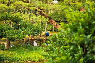 Tuinonderhoud in Kenroku-en, Kanazawa