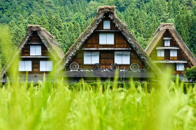Traditionele rietgedekte huizen in Shirakawa-go