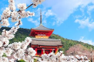 Kiyomizu-dera-tempel met kersenbloesem, Kyoto 