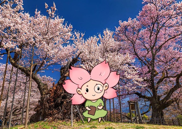 Mono-chan voor een Jindai Zakura-kersenboom in Japan 