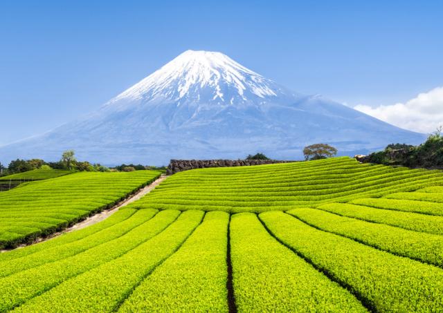 Uitzicht op Mount Fuji vanaf Oshino Hakkai