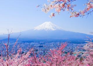 Uitzicht op Mount Fuji met de Chureito-pagode