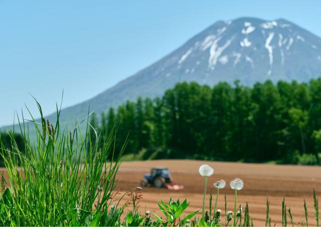 Boerderij onder de berg Yotei, Niseko
