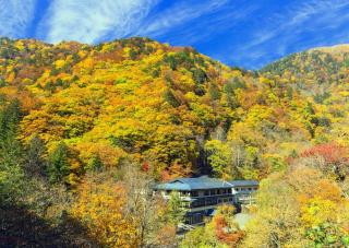 Bossen van Izu-kogen in de herfst