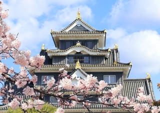 Okayama-kasteel in de lente