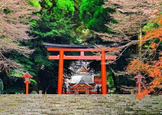 De torii-poort van de Kirishima Jingu-schrijn