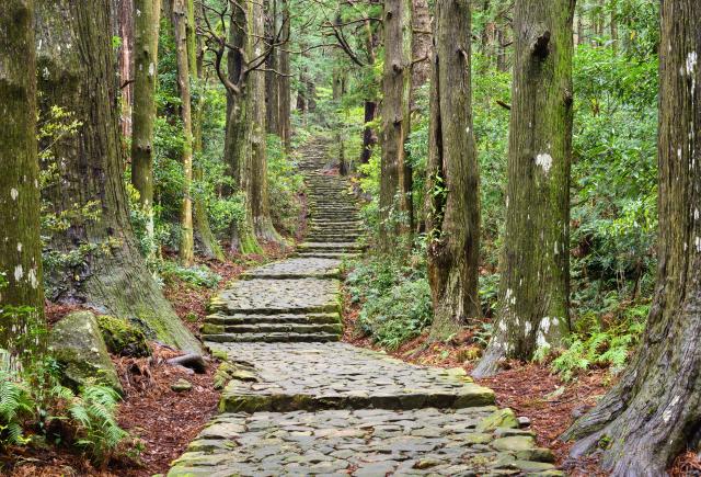 Kumano Kodo-pelgrimstocht